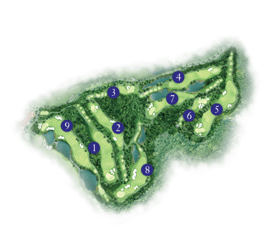 PHOENIX COURSE