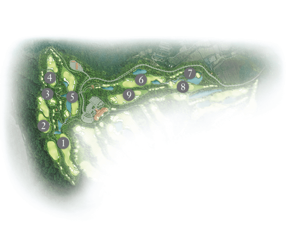WyverN COURSE