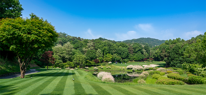 hole8