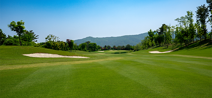 hole6