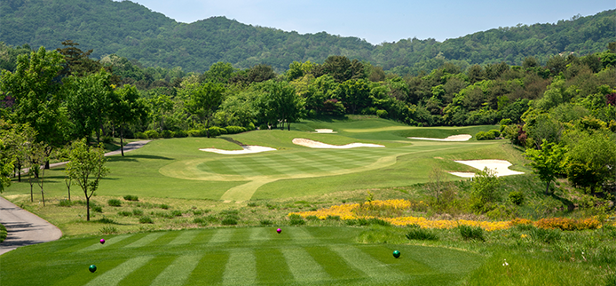 hole8
